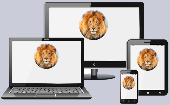 Responsive Website Design